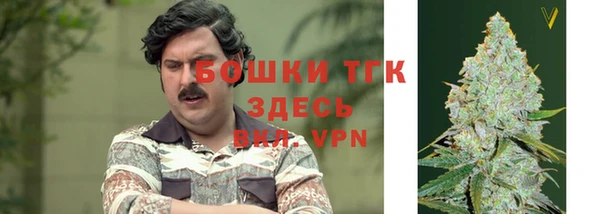 трава Армянск