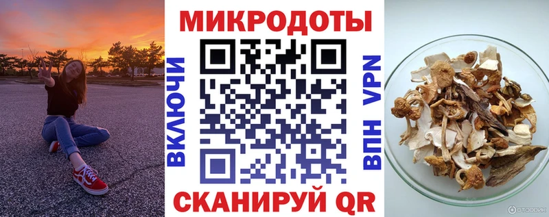 купить закладку  Славск  hydra онион  Псилоцибиновые грибы MAGIC MUSHROOMS 